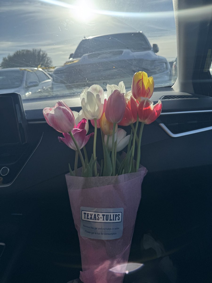caallmerii's tweet photo. 𝟘𝟛.𝟙𝟛.𝟚𝟞 💐 https://t.co/Au6WKb3RJg