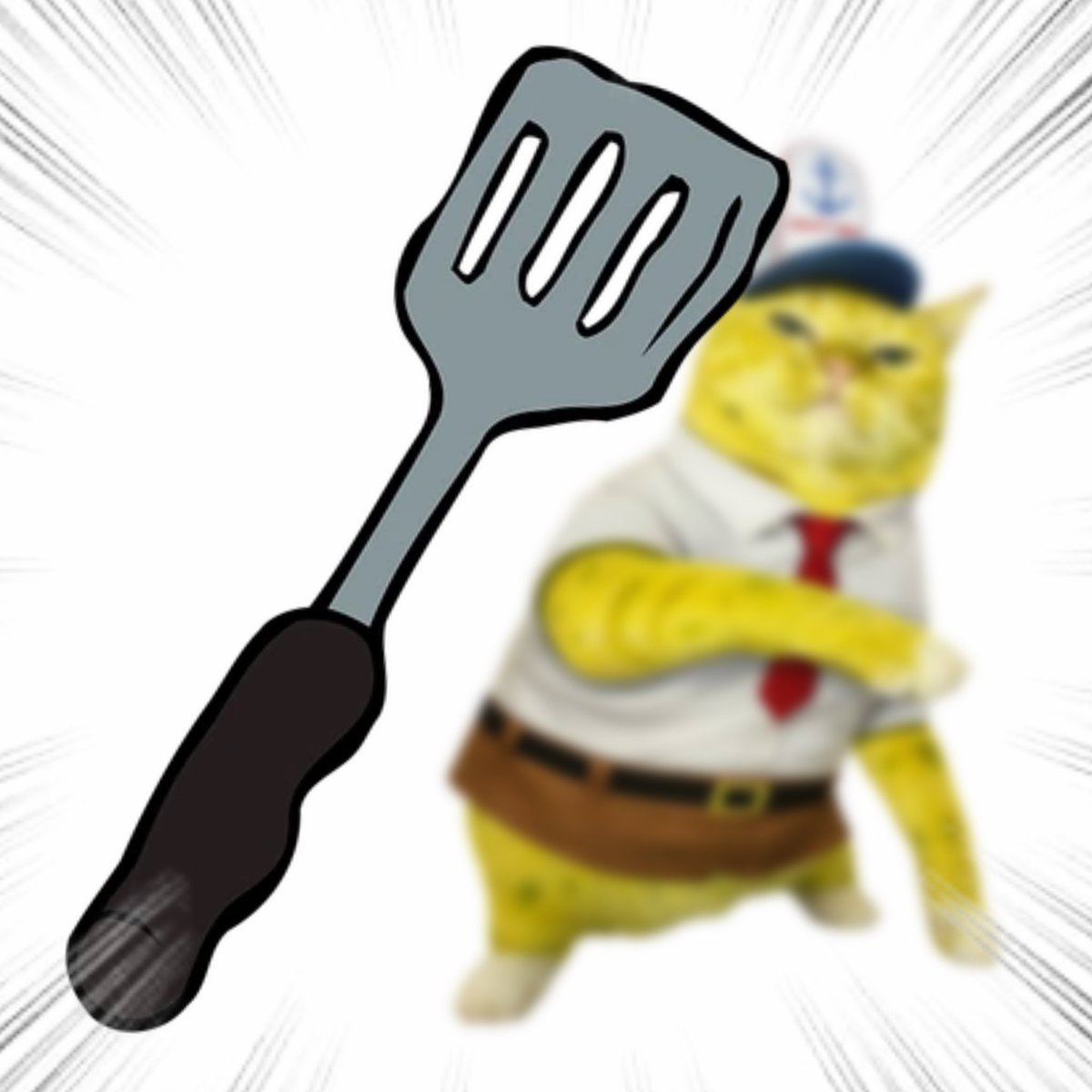 Throwing Things Daily tweet media