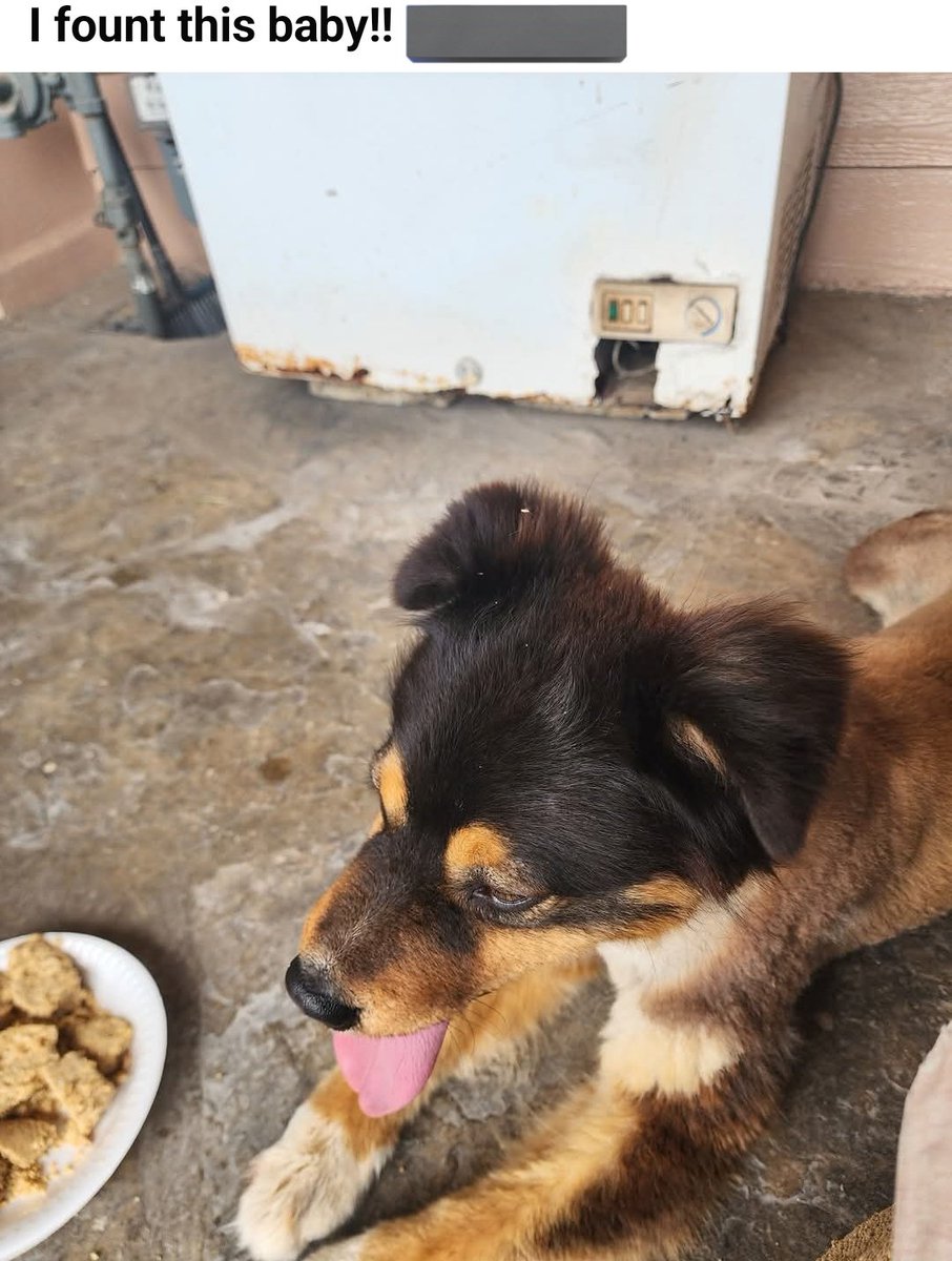 𝚓𝚎𝚗 tweet media