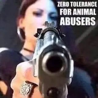 Ghost/26 tweet media