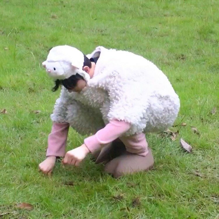 gisela; ENHYPEN IS 7 ♡ tweet media