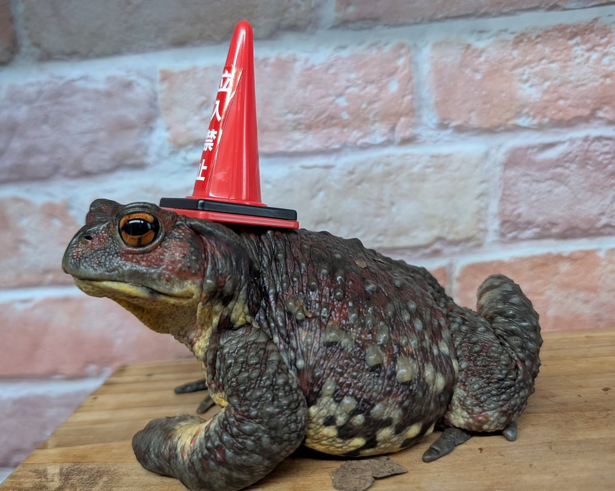 確定申告 tweet media