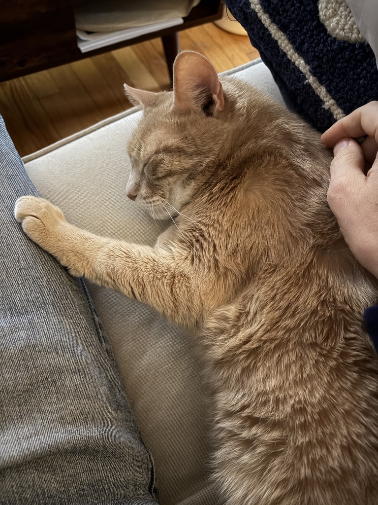 Shawn G. Chittle tweet media