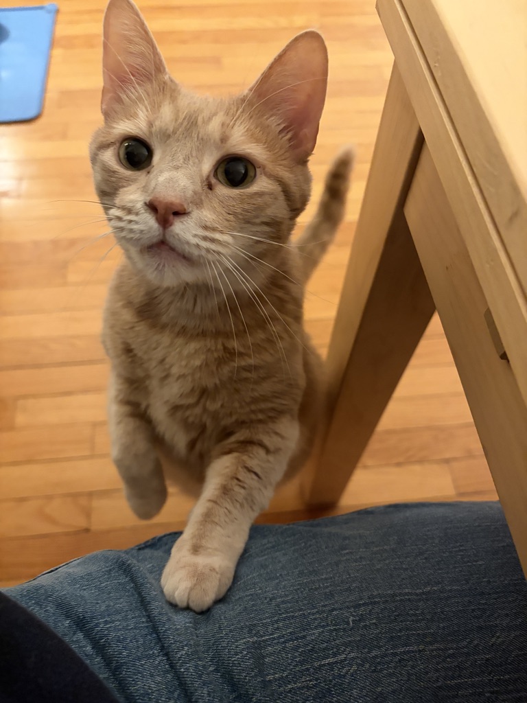 Shawn G. Chittle tweet media