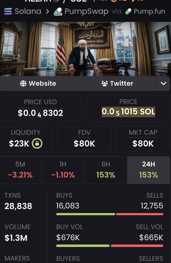 SOLxWatcher's tweet photo. The token $ALLAH saw a strong impulse up, then corrected. Now consolidating around the 80K MCap level. Looks interesting.

$ALLAH (Praise be to allah)

🔗CA: FybT3QBqy5GdWPM3X3UoxggQQgMMFzcduk74YuVQpump
NFA. https://t.co/xRCS6gMDqi