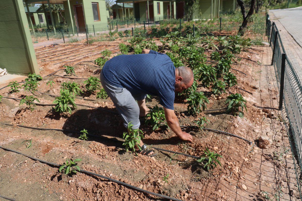 ZİHNİ ÇAKIR tweet media