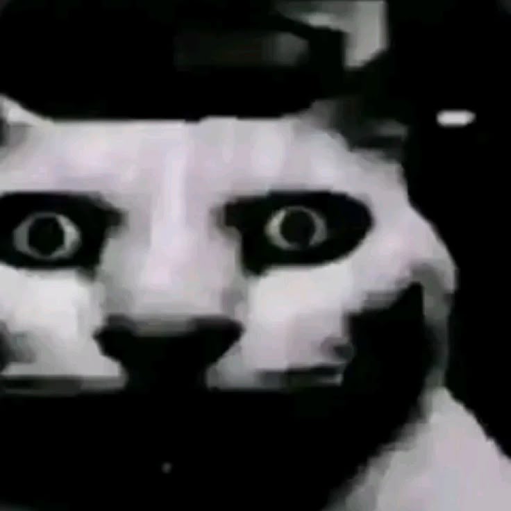 Hikarun't tweet media