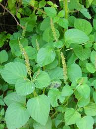 Gabriel🧡🦺 tweet media