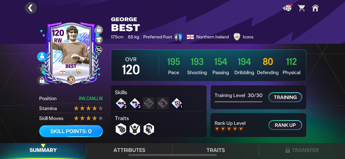 Tesmight Opa tweet media