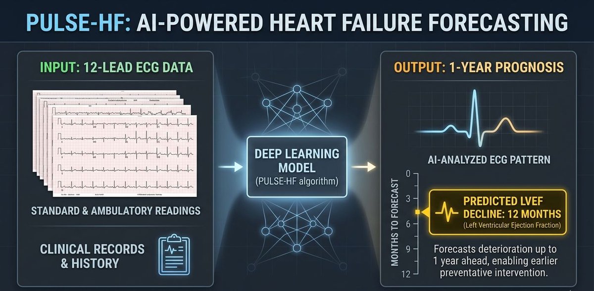 Charlie Media tweet media