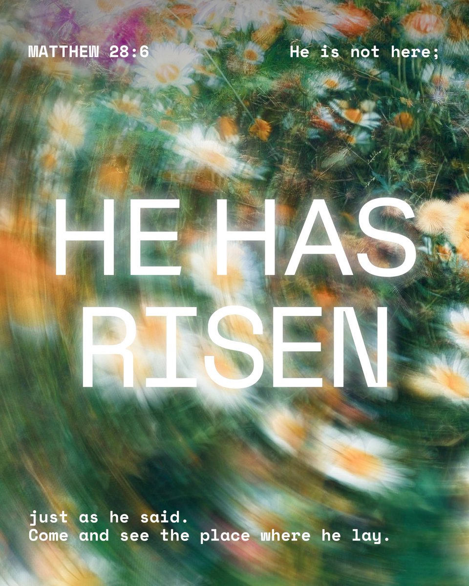 Tornado Aroma De Basanta tweet media