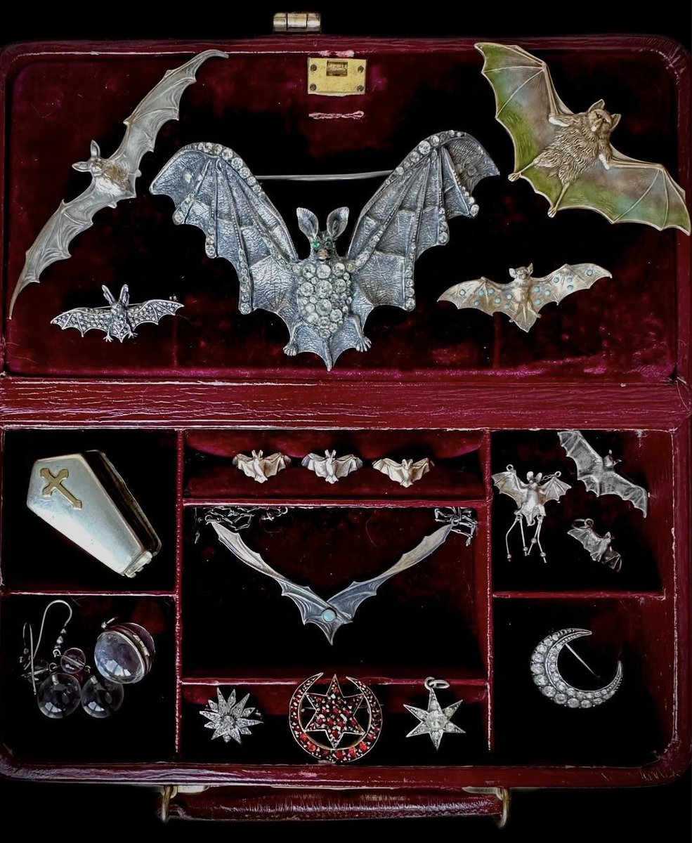 𖥔 ࣪˖ 𝓓𝓪𝔂𝓼𝓲 ⏾*:･ tweet media