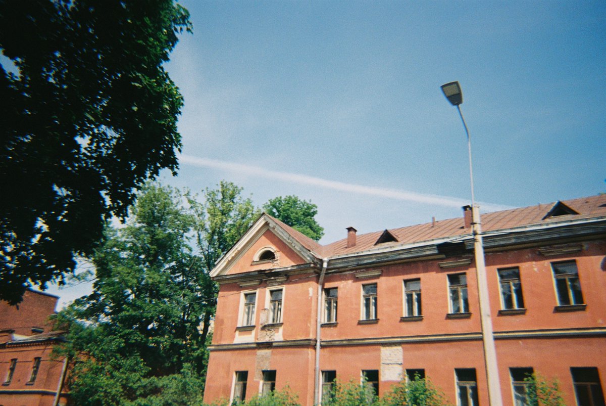 honza tamerlanov🪗 #darkwoke tweet media