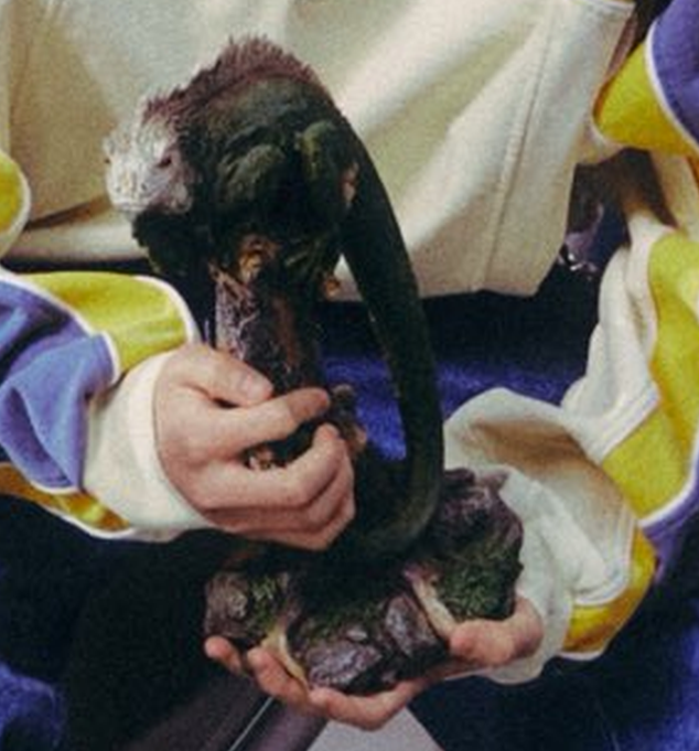 BAY🌊☀️⛵🪝 tweet media