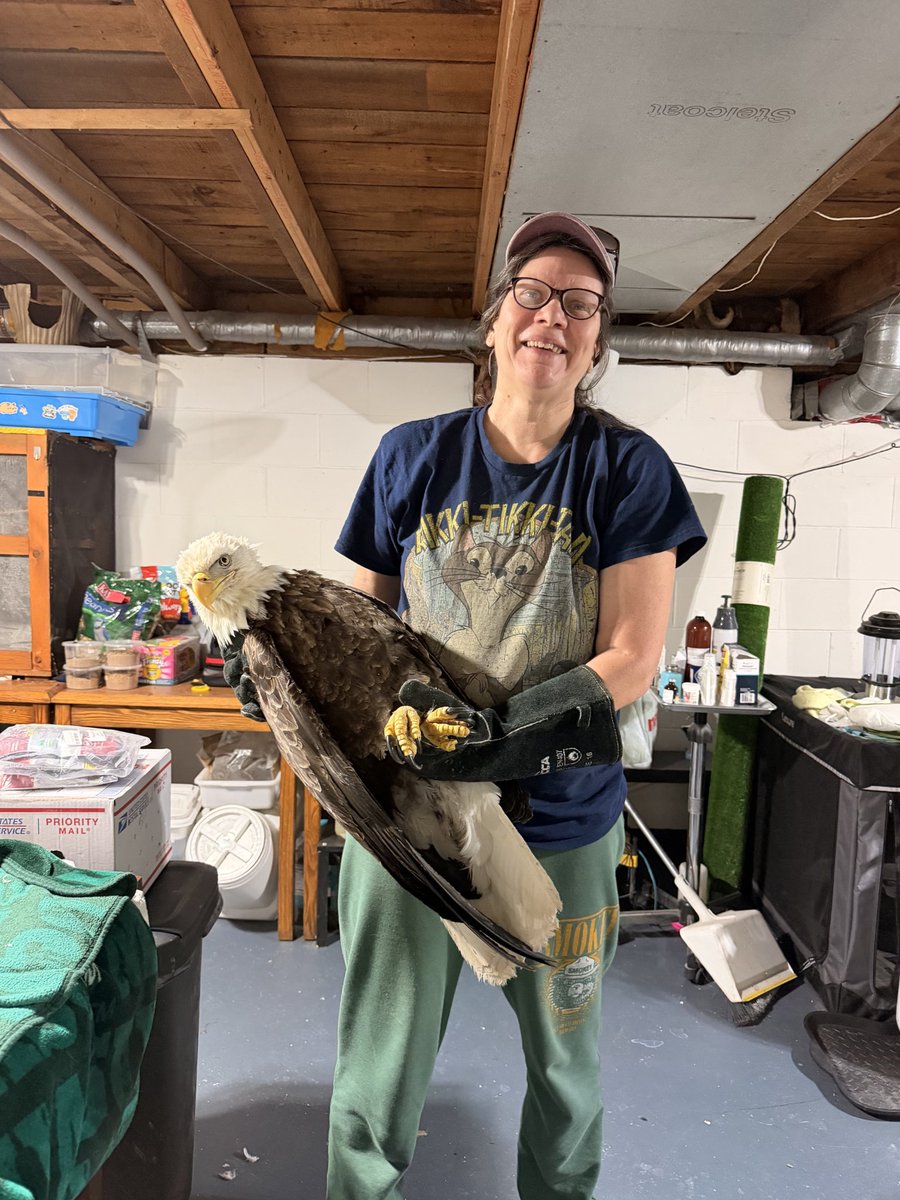 Natures Kingdom tweet media