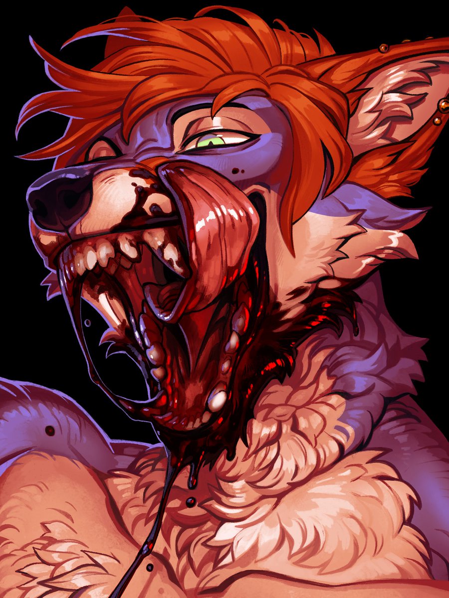 Nico🔜LVFC tweet media