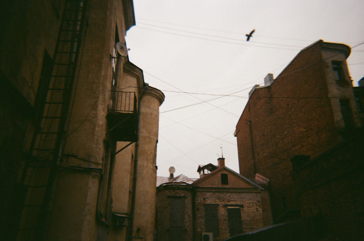 honza tamerlanov🪗 #darkwoke tweet media