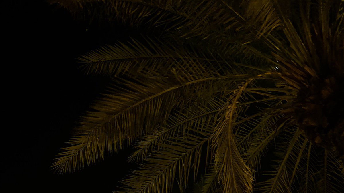 ليالي نجد مامثلك ليالي 🤍