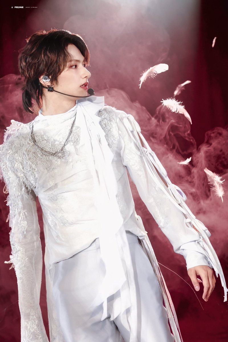 FELINE_JUNOLOGY tweet media