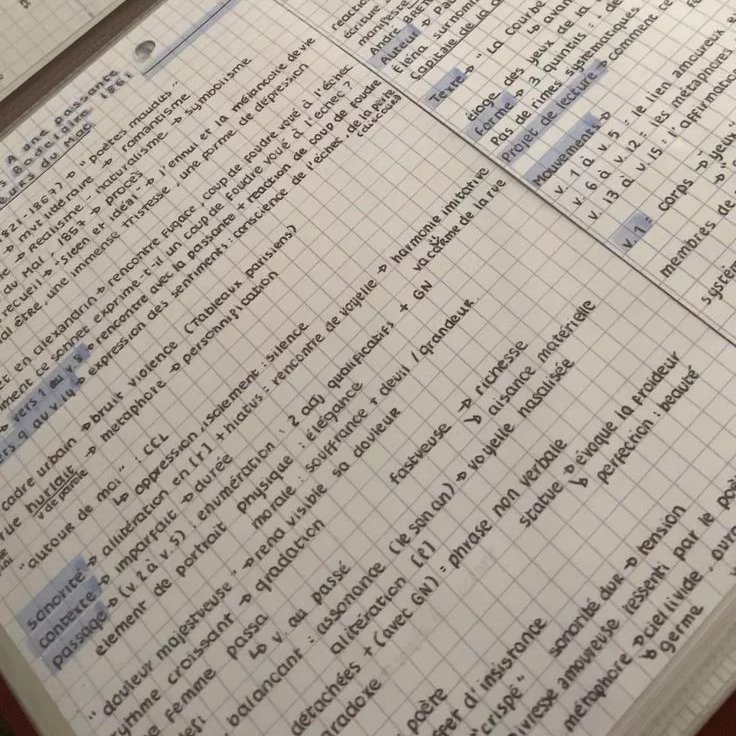 li𖦹๋࣭ ‎ tweet media