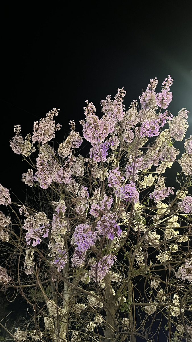 Rakelushka tweet media