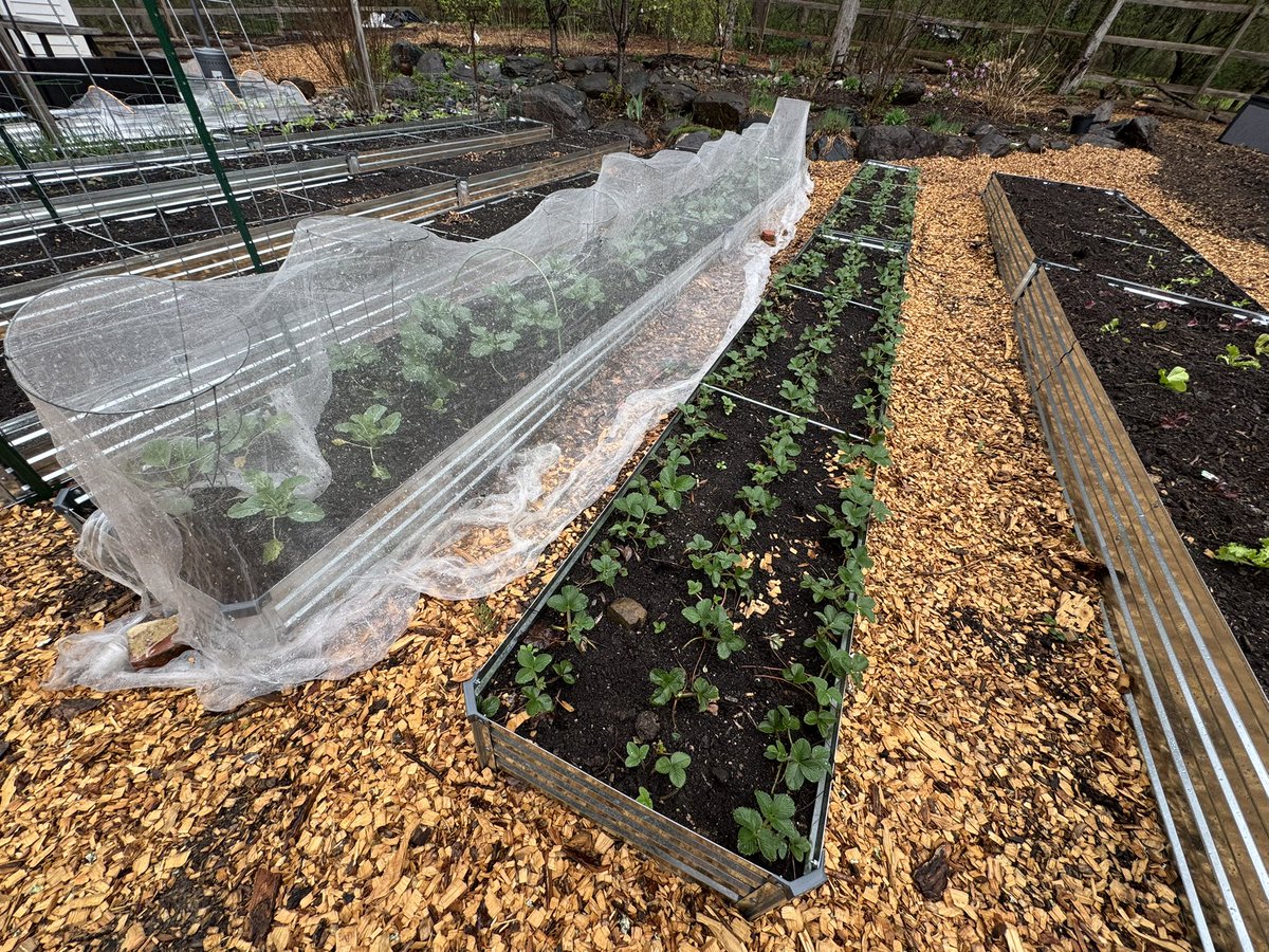 AMorePerfectUnion tweet media