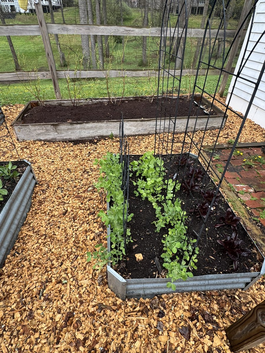 AMorePerfectUnion tweet media