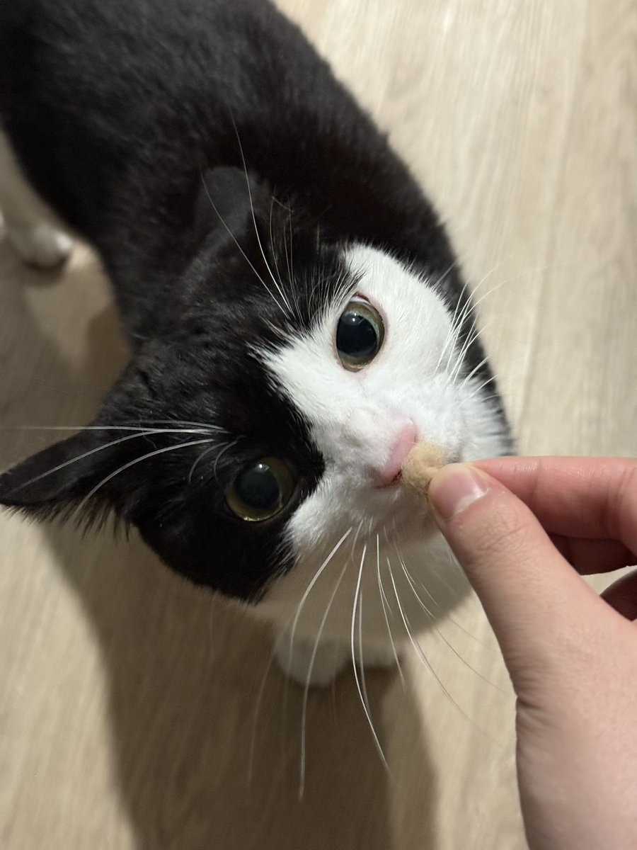 咪是邪牛海 tweet media