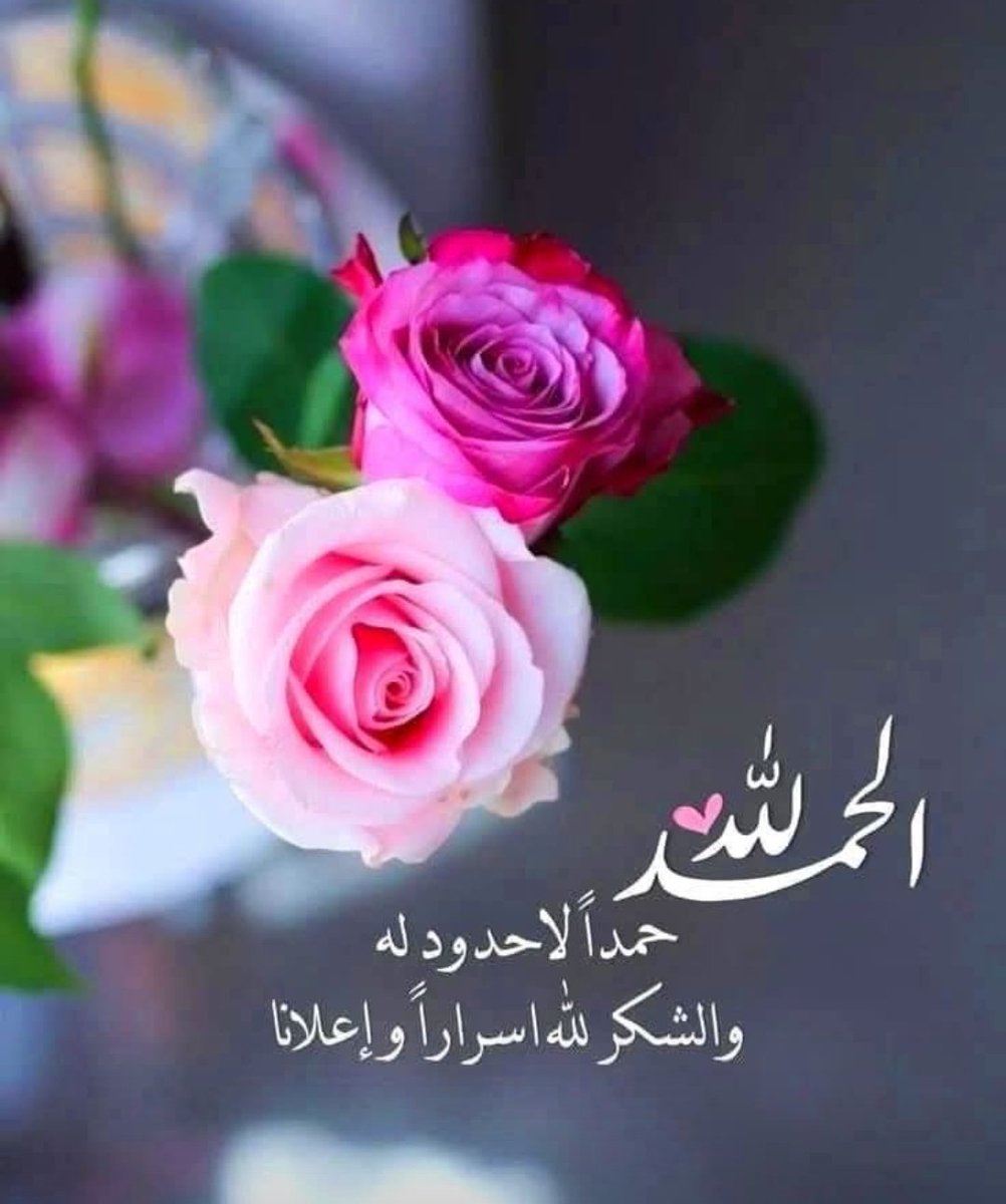 𝑵𝑶𝑶𝑹 tweet media