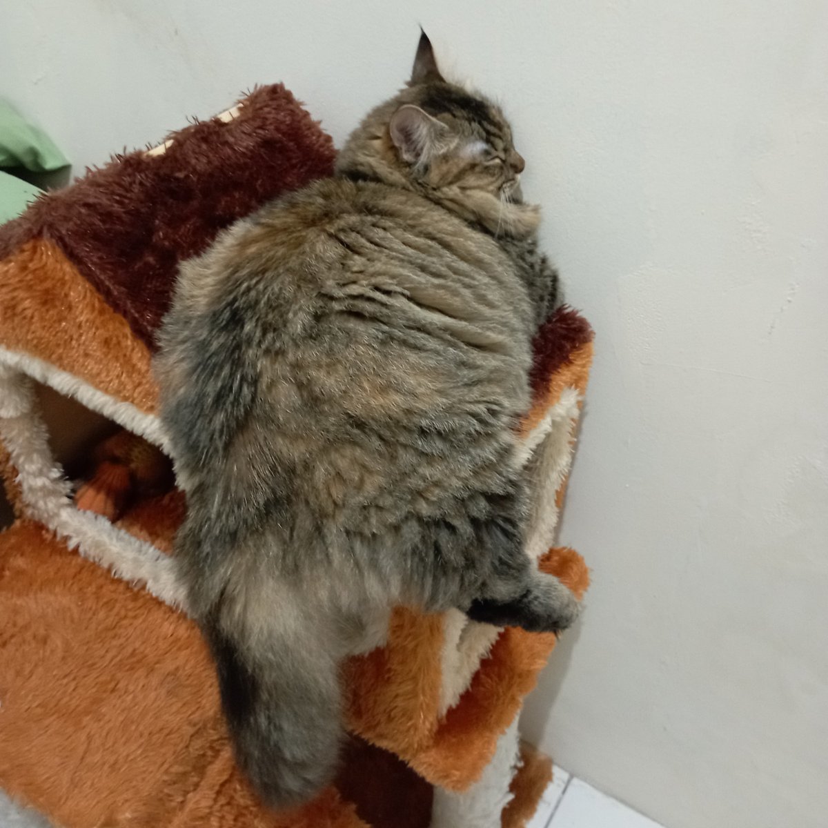 yumi jjang 🍀🧶 tweet media