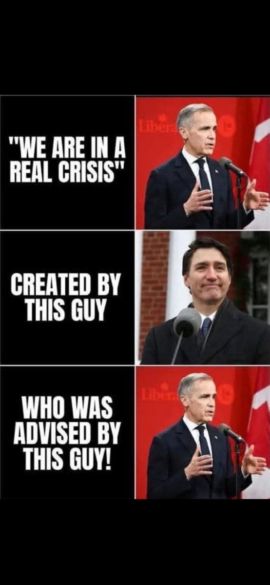 dwidlydoo tweet media