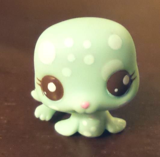 🐚🫧🦄 tweet media