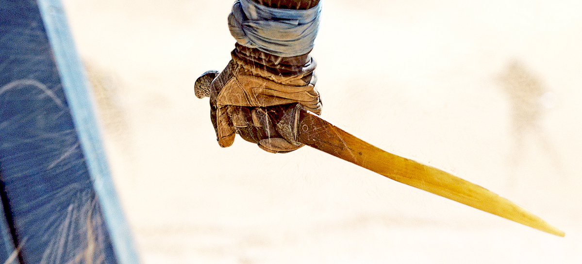 Same blade ▶️ youtu.be/oKbsgl0CEWQ