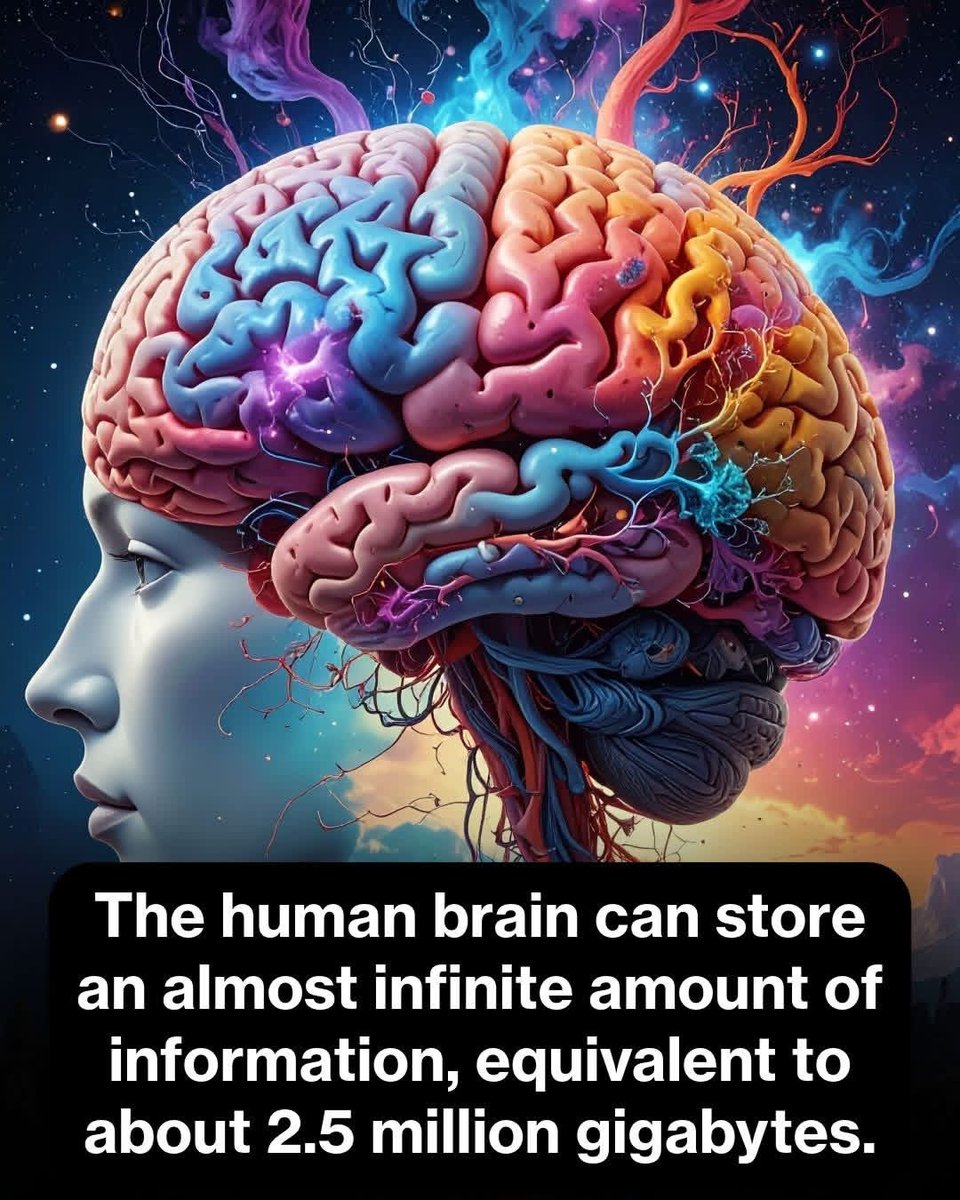 Brainy Science tweet media