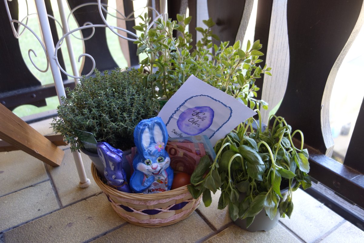 BarbaraRottm's tweet photo. #easter #Ostern2026 
🐰🐣🐔🪻🌷🪺 https://t.co/zwNgzLdj3F