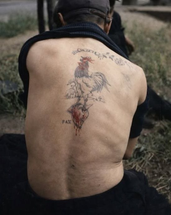 Visages de France tweet media