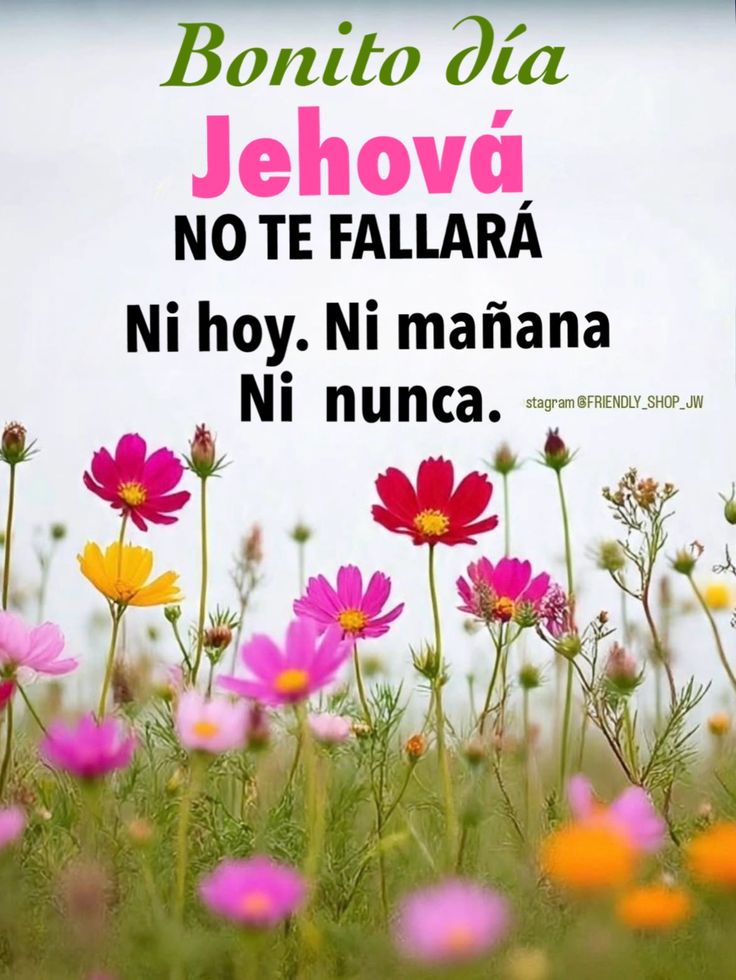 Lady Godiva tweet media