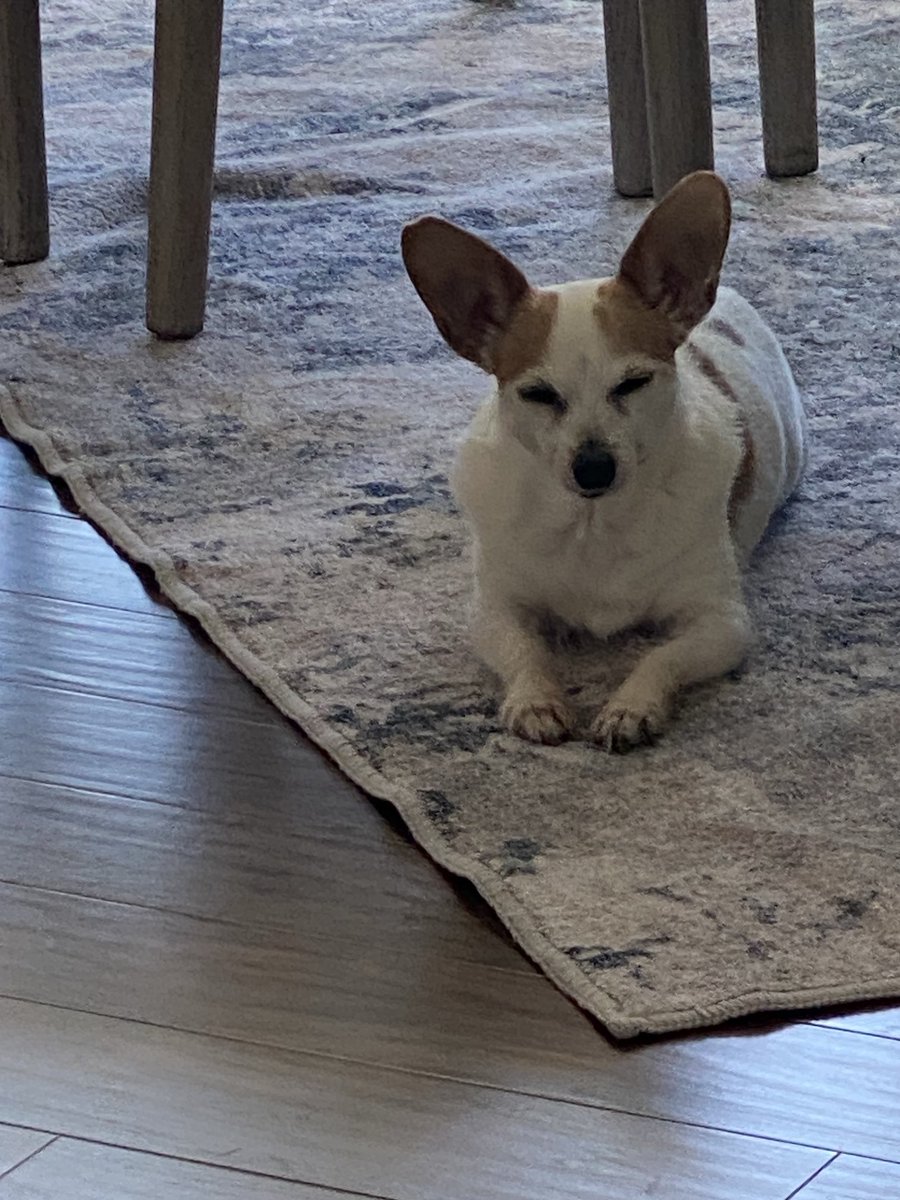 Franko 💥💥💥 tweet media