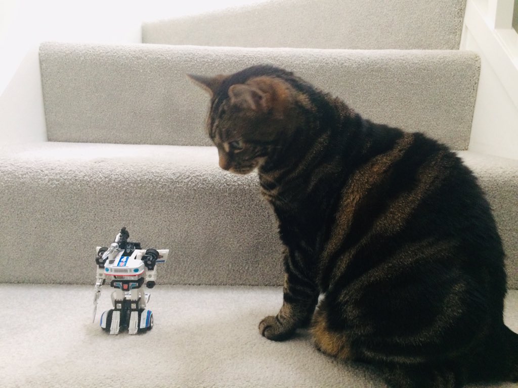 Sixo | Transformers tweet media