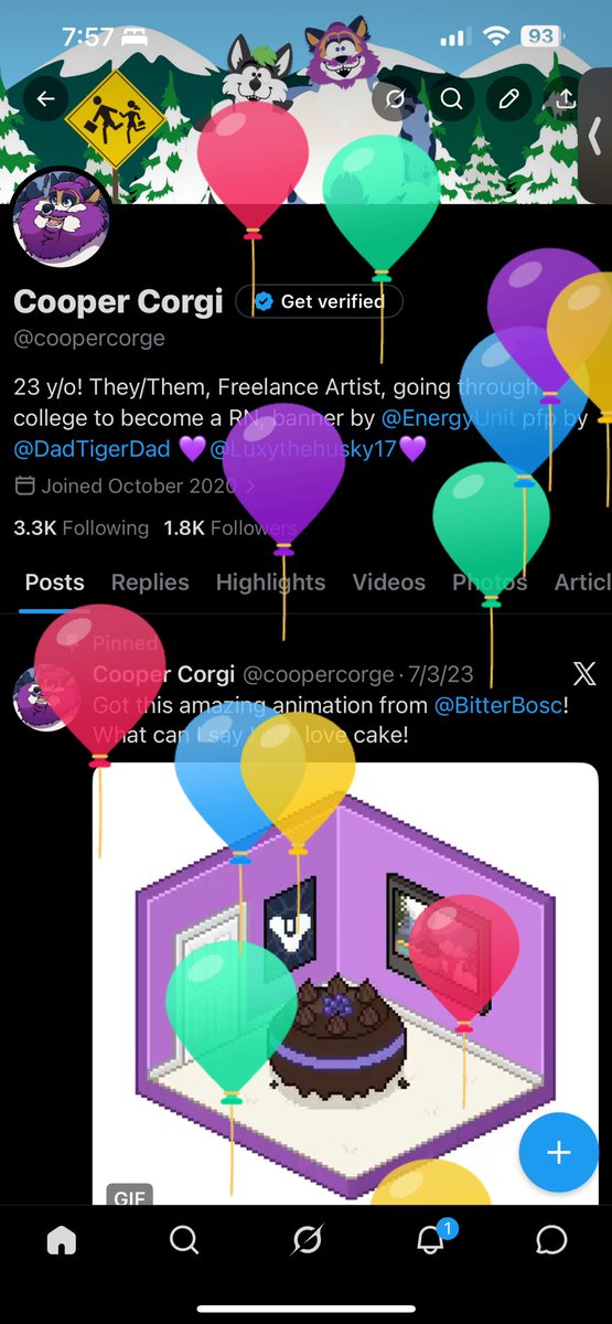 Cooper Corgi tweet media