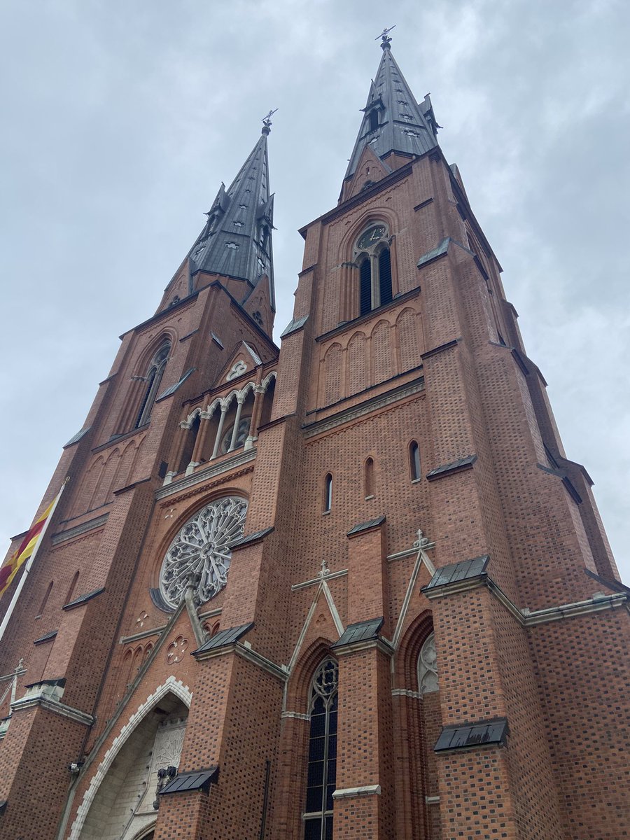 LorenzoSolinas's tweet image. Cattedrale di #Uppsala