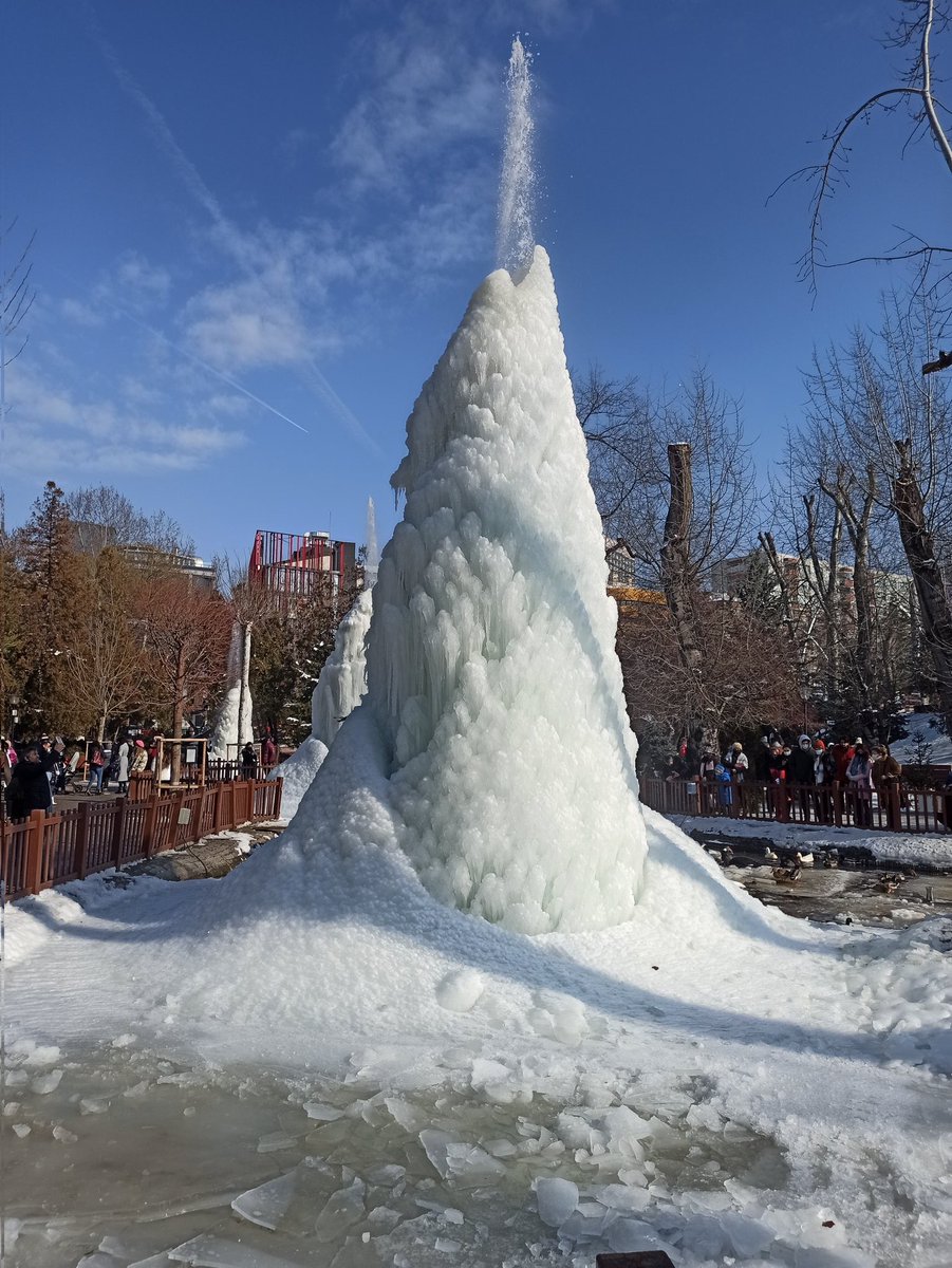 Depeach Mode tweet media