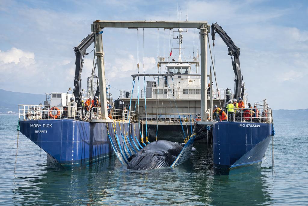 Hard Reset tweet media