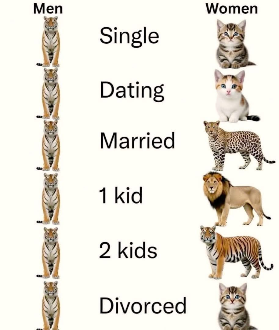 Hazel Appleyard tweet media