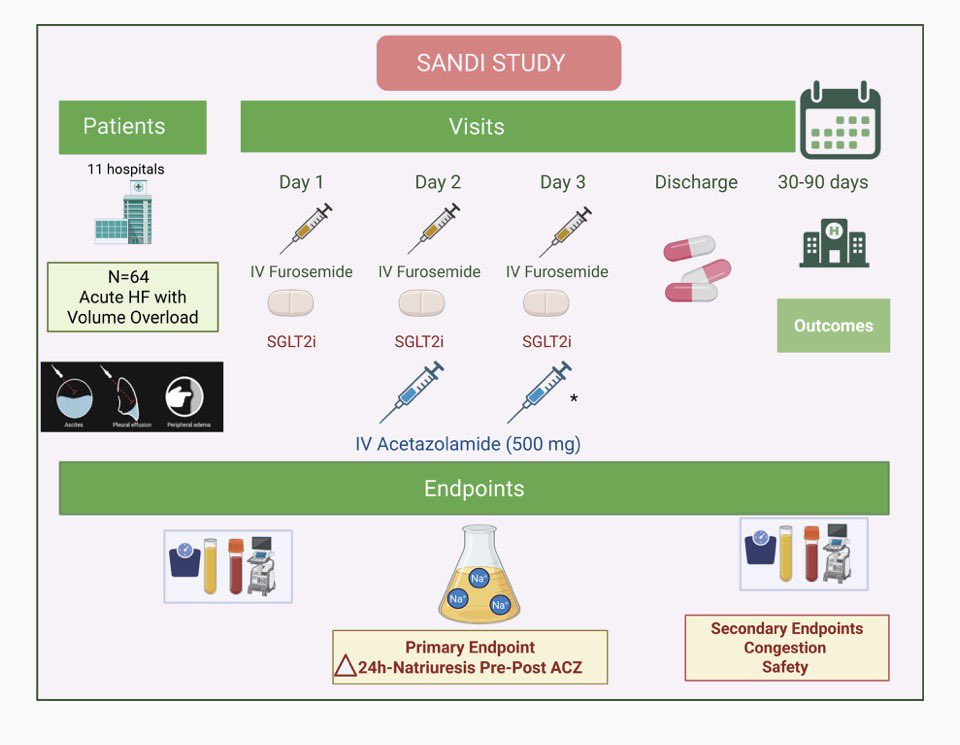 Joan Carles Trullàs, MD, PhD tweet media