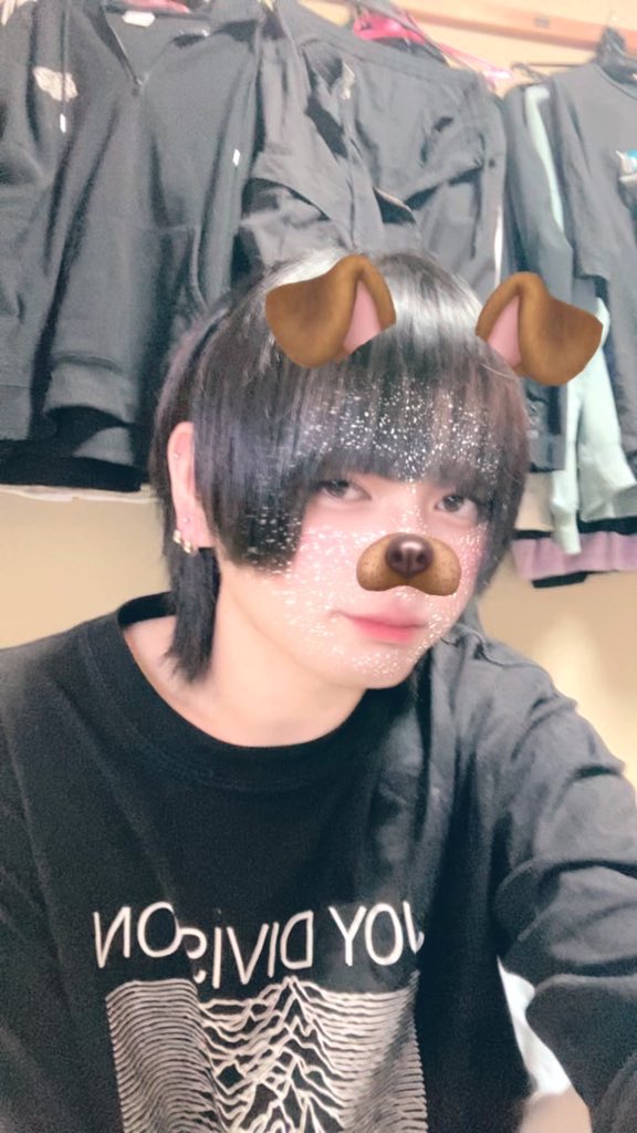 半魚丼 tweet media