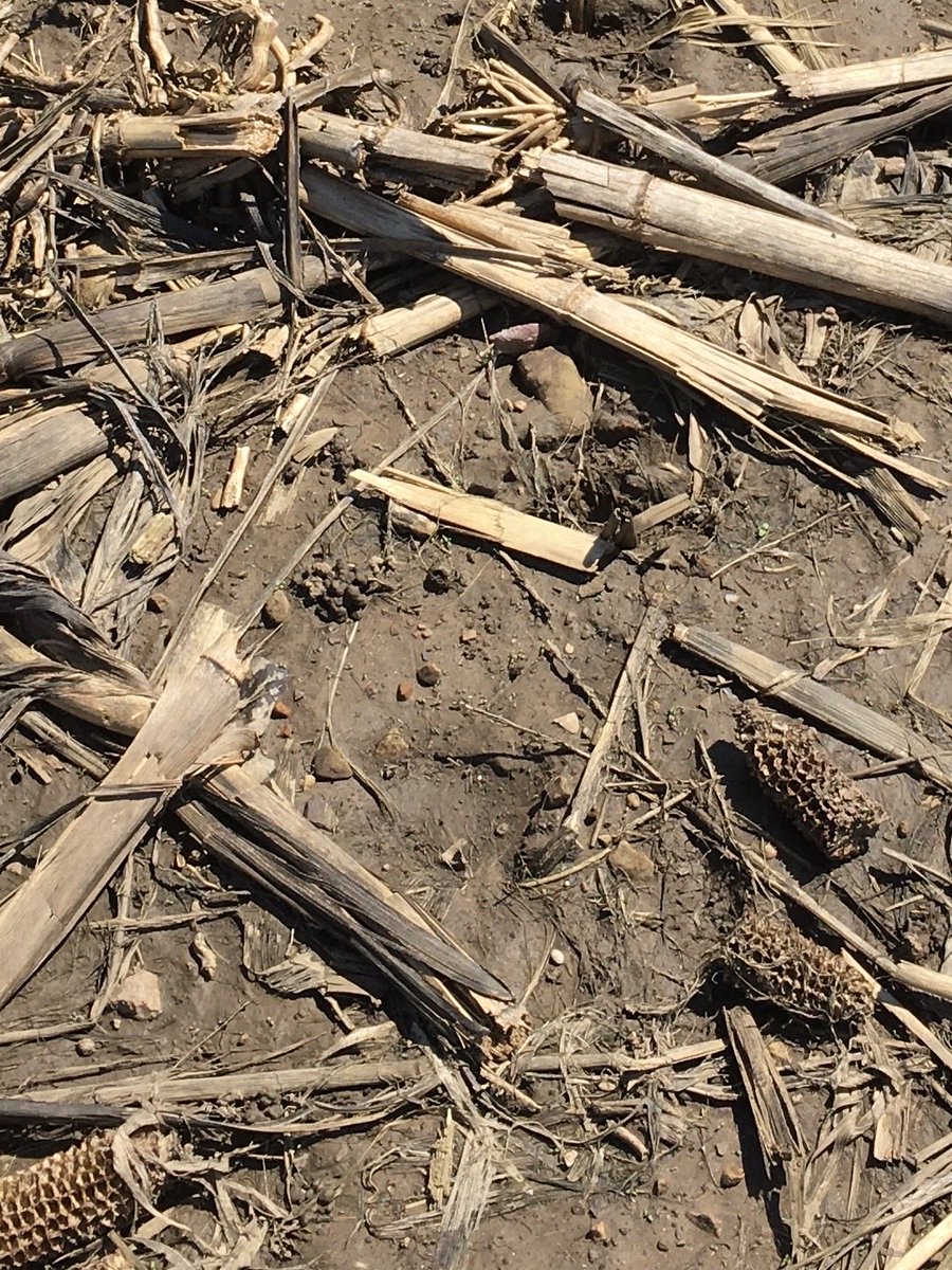 ICrackMyselfUp tweet media