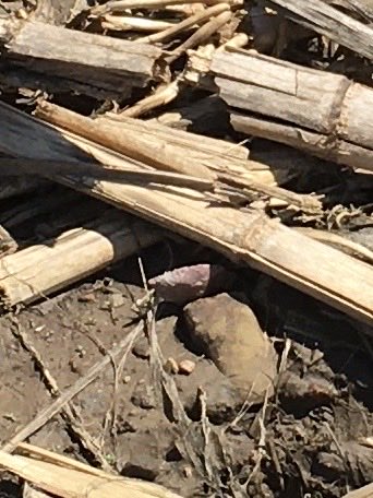 ICrackMyselfUp tweet media