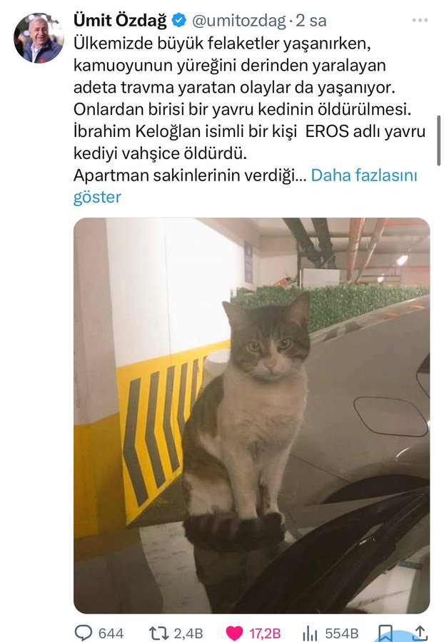 Elvan 🌻🌞🍀 tweet media