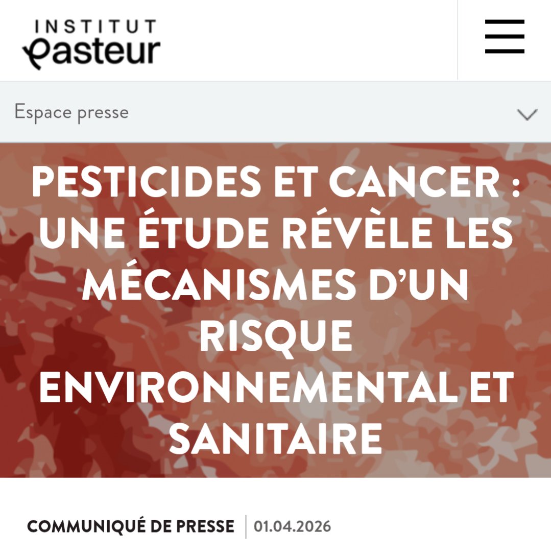 🦏 Babar le Rhinocéros🦏 tweet media